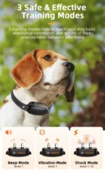 ⁦קולר אילוף לכלב⁩ – תמונה ⁦3⁩